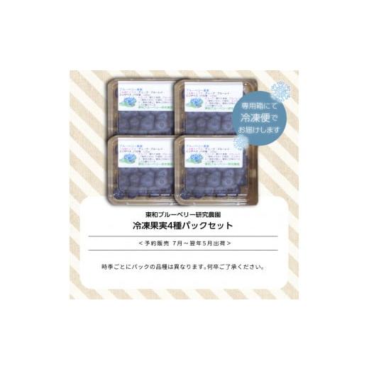 ふるさと納税 福島県 二本松市 東京農工大学名誉教授「横山　正」ブランドのブルーベリー冷凍果実4パックセット（品種おまかせ）