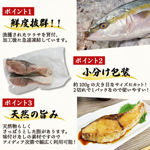 天然 ブリ ワラサ 切身 約1.2kg 2切×6袋 冷凍 小分け  ぶり 切り身 鰤 天然ぶり 小分け ぶり 冷凍ぶり ぶり切り身