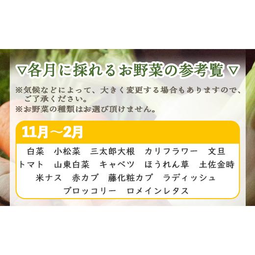 ふるさと納税 高知県 香南市 高知県香南市産 旬のお野菜詰合せ(10〜13品目) pr-0007