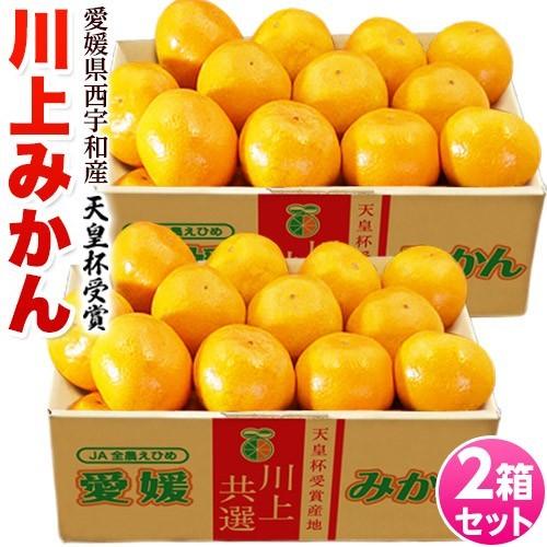 みかん ミカン 愛媛県産 西宇和 川上みかん 大玉２Ｌサイズ 約3kg×2箱 合計約6kg 送料無料