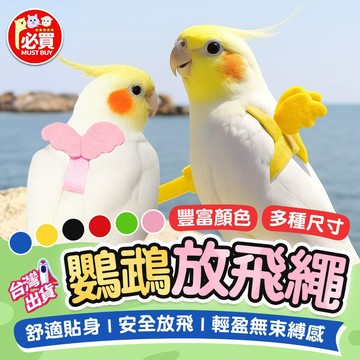 ❤️必買❤️ 鸚鵡放飛繩 鸚鵡胸背帶 鳥用牽繩 遛鳥繩 鳥類牽引繩 防走失牽繩 鳥訓練繩 鸚鵡外出牽繩 鳥用品專用