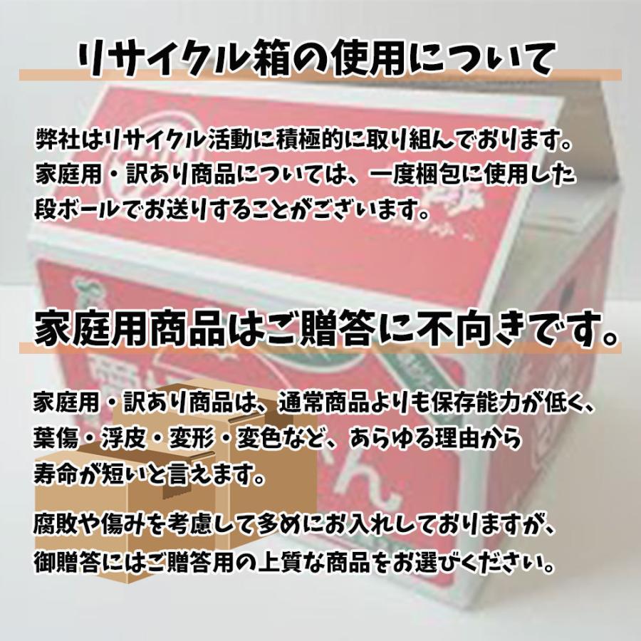 渋柿 かき 愛宕柿 小粒 干し柿用 愛媛県産 ご家庭用 10kｇ 送料無料 小さいサイズ