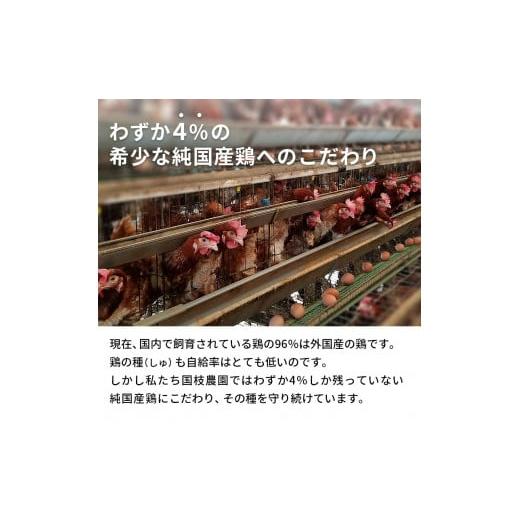 ふるさと納税 岐阜県 池田町 卵 わずか4%の希少な純国産鶏 いけだの森たまご 30個 こだわり おこめのたまご 玉子 鶏卵 生卵 産地直送 冷蔵配…