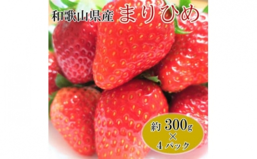 和歌山県産ブランドいちご「まりひめ」約300g×4パック入り 果物 フルーツ くだもの イチゴ 苺 オリジナル 産地直送 ※2024年1月中旬～1月下旬頃に順次発送予定※北海道・沖縄・離島への配送不可　※着日指定不可