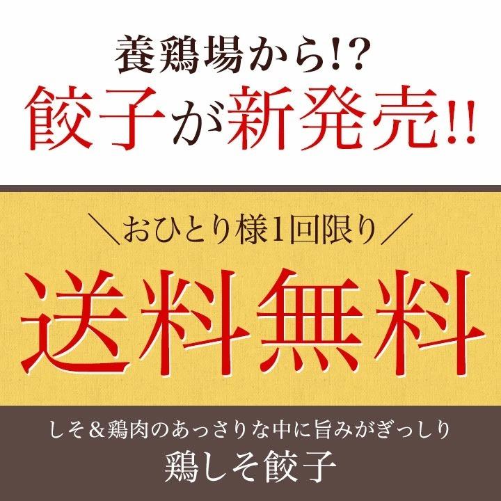 お一人様1回限り お試し！ 鶏しそ餃子 30個入り(30個入り×1袋) 冷凍餃子 餃子 送料無料 お試し 生餃子 冷凍生餃子 食品 惣菜 中華 鶏肉