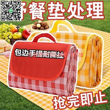 【卓越優選館】【1.4萬次回購】野餐墊戶外防潮墊便攜春游地墊野餐布ins風露營墊子野餐必備用品