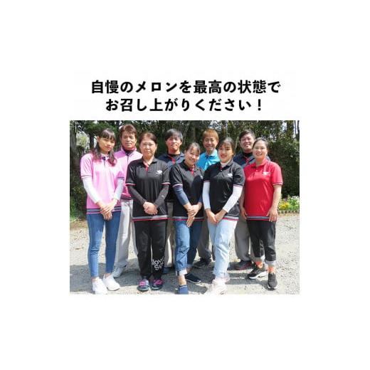 ふるさと納税 鹿児島県 志布志市 b0-105 牧さんの訳ありメロン 赤玉(赤肉)計2玉