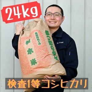 栃木県産 コシヒカリ 玄米24kg