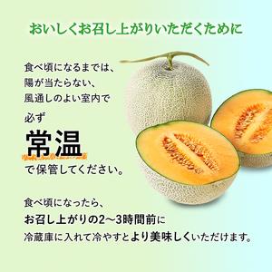 ふるさと納税 赤肉メロン JAふらの厳選！ 約2kg 2玉 メロン めろん 富良野メロン 果物 くだもの フルーツ 富良野 デザート 北海道 北海道上富良野町