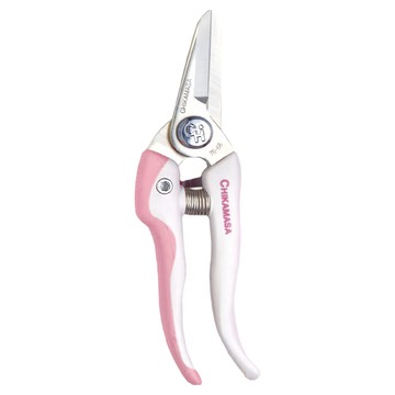 CHIKAMASA 近正 花剪 TS66EXP 花園園藝用  1支