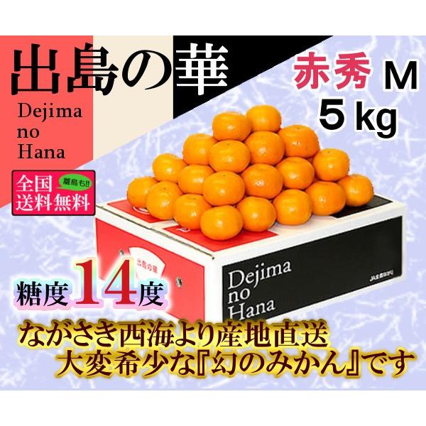 出島の華 赤秀Ｍ 約５ｋｇ 長崎県産