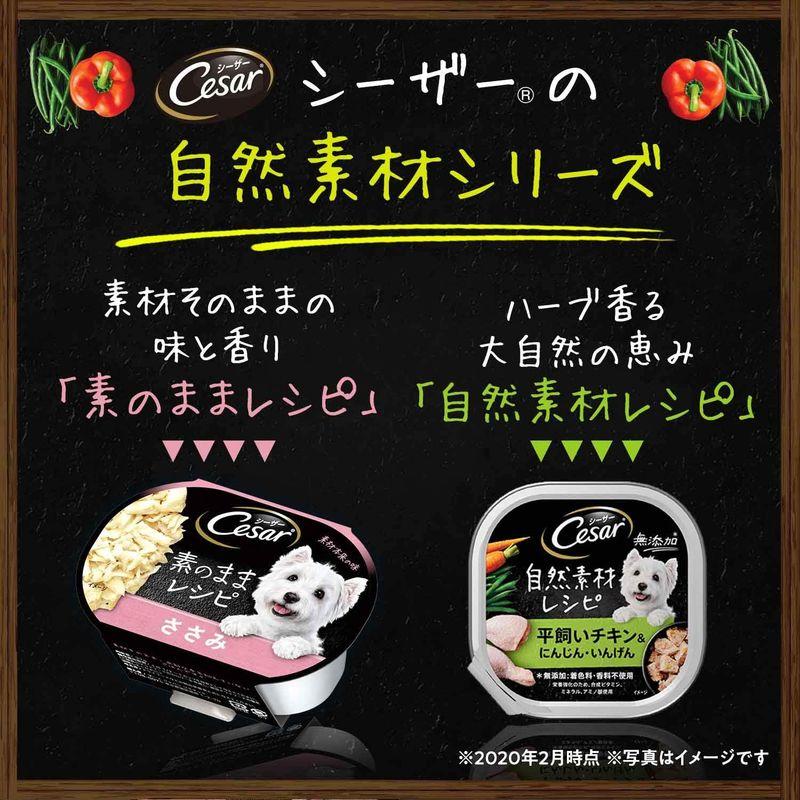 ペット フード 犬 シーザー 自然素材レシピ 平飼いチキン ＆ にんじん いんげん ８５ｇ 1ケース 28個入 ウェット