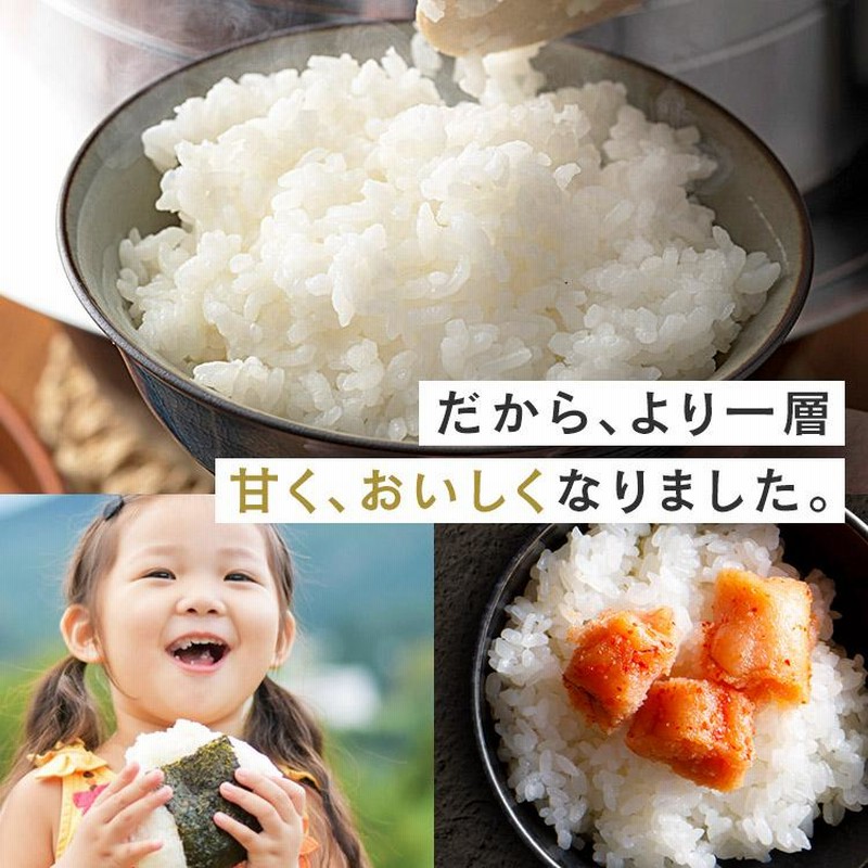 米 300g 無洗米 生鮮米 一人暮らし お米 精白米 うるち米 なな
