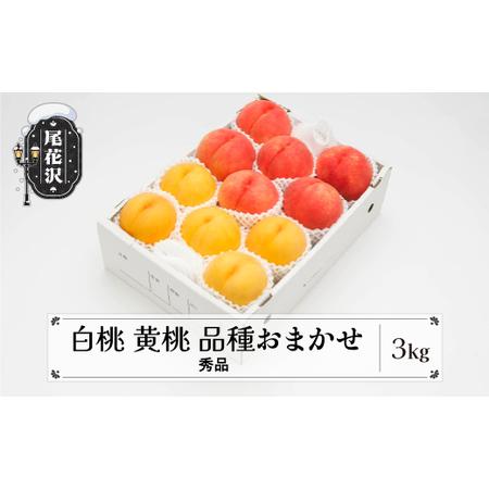 ふるさと納税 先行予約 もも 白桃 有袋黄桃 秀品 詰め合わせ 品種おまかせ 3kg フルーツ 化粧箱入 果物 アソート 2024年産 令和6年産 山形県産.. 山形県尾花沢市