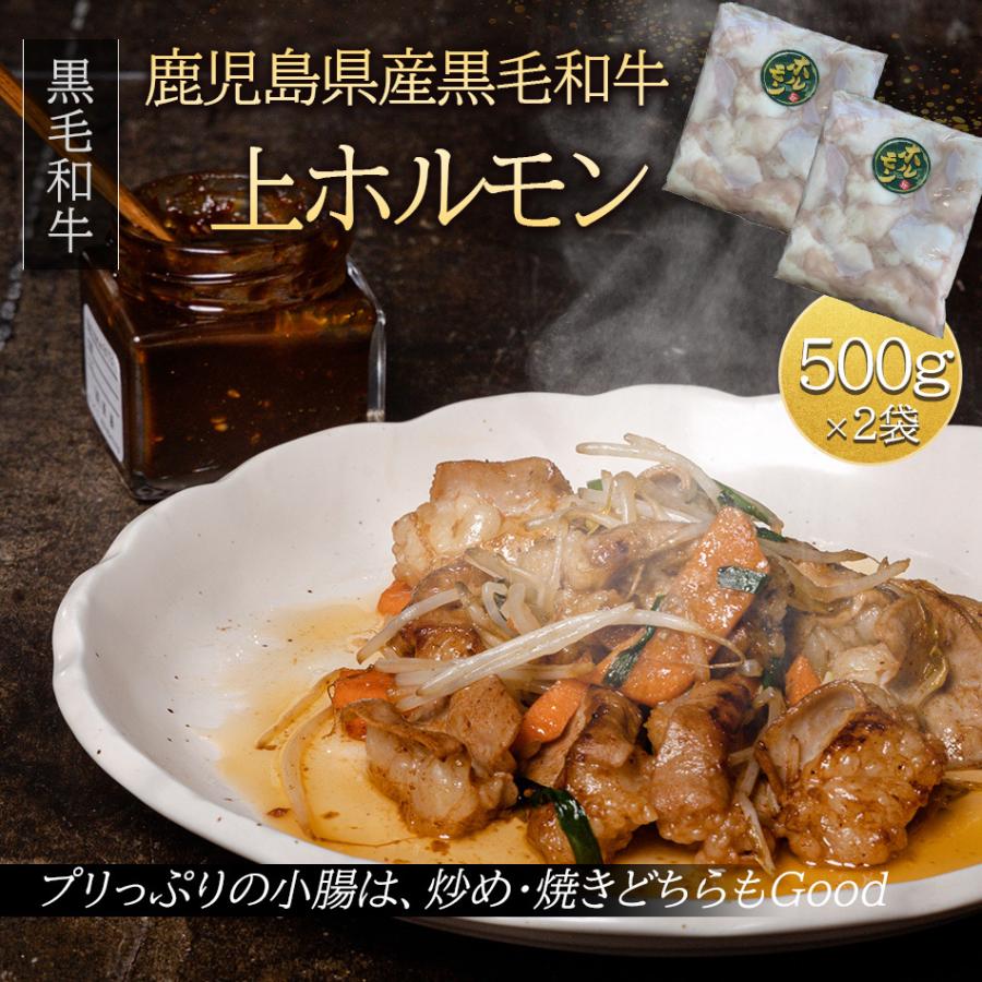 黒毛和牛 ホルモン （ 500g×2袋 ） 鹿児島県産 国産 牛肉 焼肉 黒毛姫牛 和牛 キャンプ アウトドア BBQ 送料無料 