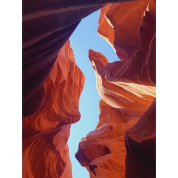 美西旅遊｜羚羊峽谷、馬蹄灣、大峽谷、約書亞樹國家公園、舊金山金門大橋、拉斯維加斯９日_26Q2ANT9LS