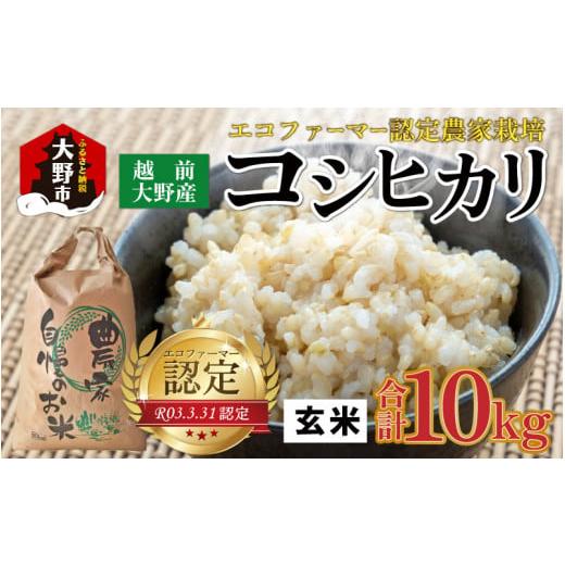 ふるさと納税 福井県 大野市 越前大野産 エコファーマー認定農家栽培 コシヒカリ10kg（玄米）