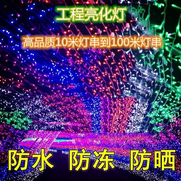 戶外防水加長亮化燈工程LED彩燈掛樹燈節日流星雨彩燈串滿天星燈