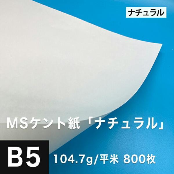 MSケント紙 クリーム 157g 平米 B1サイズ 印刷紙 印刷用紙 松本洋紙店