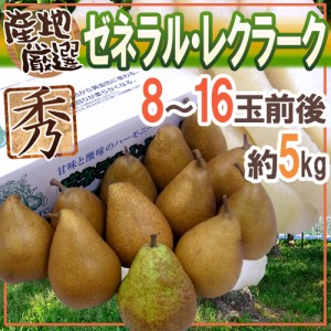 ”ゼネラルレクラーク” 秀品 8～16玉前後 約5kg 産地厳選 洋梨 送料無料