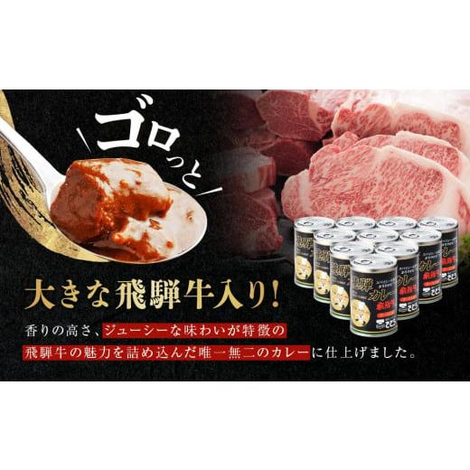 ふるさと納税 岐阜県 高山市 キッチン 飛騨監修 さとうオリジナル 飛騨牛カレー 10缶 飛騨牛入り ビーフカレー 飛騨高山 高山 ご当地カレー …