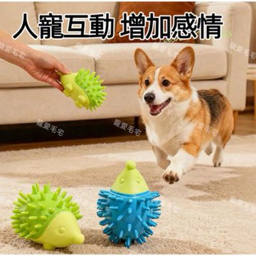 【寵愛毛宅】狗狗刺蝟啃咬玩具 寵物玩具 刺蝟啃咬玩具 狗狗玩具 狗狗磨牙潔齒玩具 發聲解悶玩具 耐咬磨牙玩具