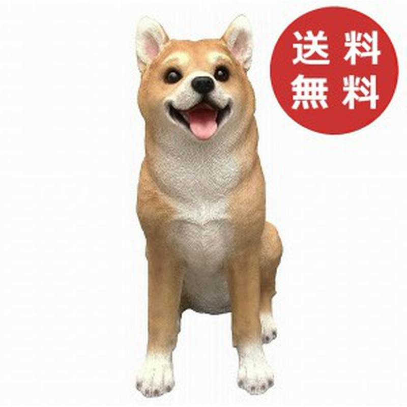 チアフルフレンズ 柴犬のソラ 犬 いぬ イヌ Dog ドッグ ドック 置物 小物 オブジェ ガーデンオーナメント ガーデン 置物 オーナメント 通販 Lineポイント最大get Lineショッピング