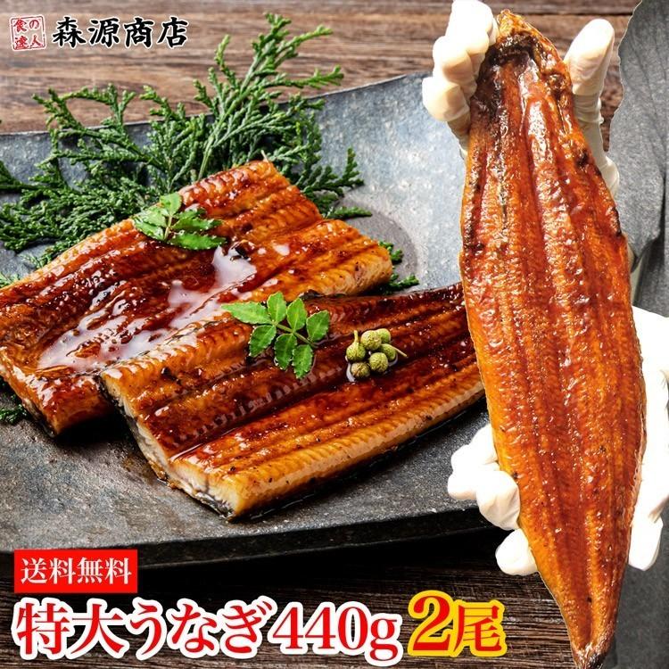 うなぎ 鰻 タレ付き 焼きウナギ 約440g (220g×2尾) 2本 特大 かば焼き 蒲焼き 中国産 冷凍便 ギフト お取り寄せ