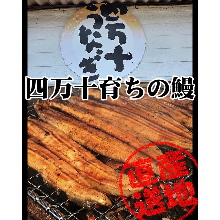 四万十うなぎ 白・蒲焼セット　