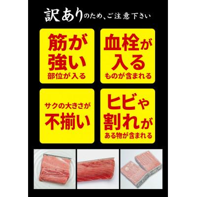 ふるさと納税 いわき市 本マグロ訳あり中トロ 約700g 解凍レシピ付き