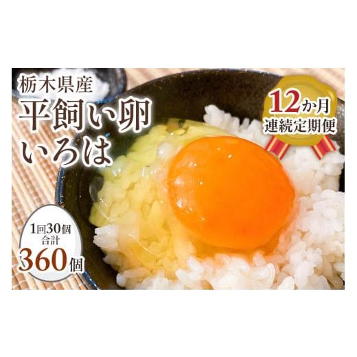 ふるさと納税 栃木県 矢板市 [平飼い卵30個×12か月連続定期便] 全体的に甘みとコクのある黄身｜矢板市産 こだわり卵 たまご 玉子 生卵 鶏…