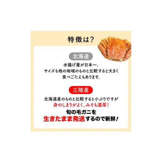 ふるさと納税 岩手県 大槌町 三陸産 三陸活毛ガニ 250g×3杯（3尾）　天然 国産 冷蔵 三陸直送 濃厚 かに 蟹 カニ 毛ガニ 毛蟹 毛が…