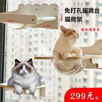 貓吊床 吸盤貓爬架 玻璃貓牆 貓跳台 貓咪吊床 免打孔貓爬架 吸盤貓吊床 貓爬架 太空艙 吸盤