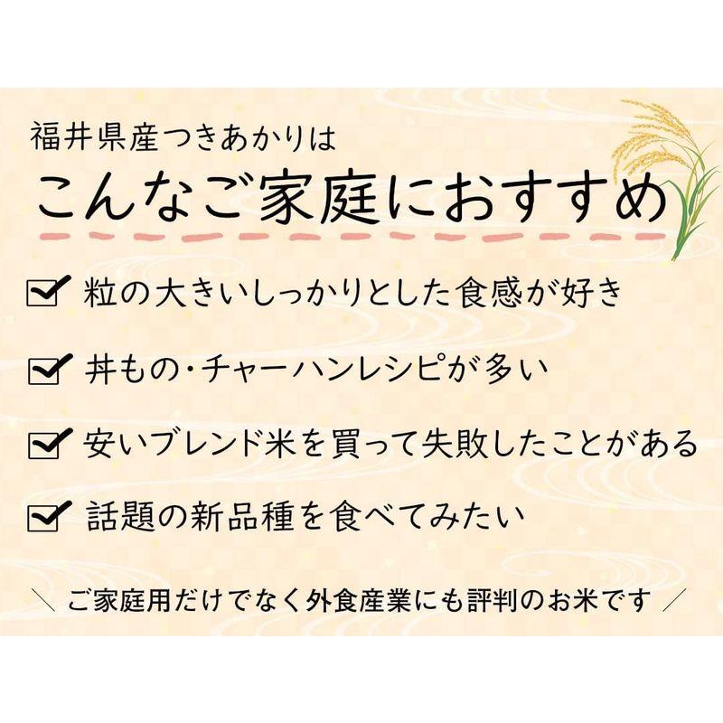 精米福井県産 つきあかり 白米 令和4年産 (10kg)