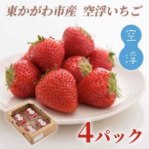 ふるさと納税 空浮いちご 4パック「北海道・沖縄・離島へのお届け不可」 香川県東かがわ市
