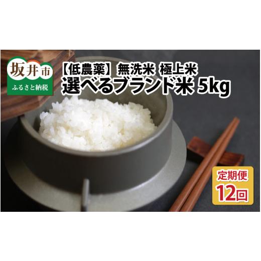 ふるさと納税 福井県 坂井市 福井県産 低農薬極上米 無洗米 5kg × 12回 計60kg  『こしひかり』[K-8801_01]