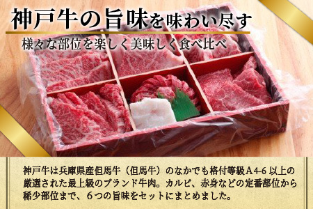 自社牧場直送神戸牛6点食べ比べ焼肉(600g)《 国産 自社牧場直送 肉のヒライ 焼肉 食べ比べ 牛肉 霜降り ロース ハラミ 三角バラ カルビ お楽しみ セット 詰め合わせ 》