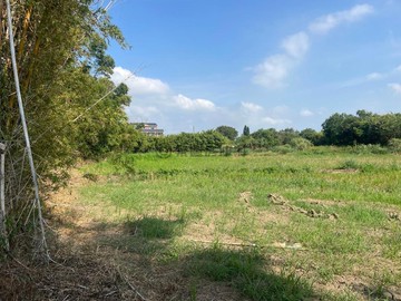 姵嫻強銷~A19青埔棒球場旁休閒農作首選特定農地｜桃園市中壢區大路段