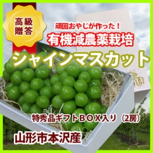 敬老の日 シャインマスカット 山形 ギフト 葡萄 ぶどう  産地直送 送料無料 農産物 ポ