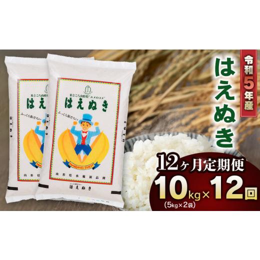 ふるさと納税 山形県 鶴岡市 新米 山形県庄内産 はえぬき10kg（5kg×2）