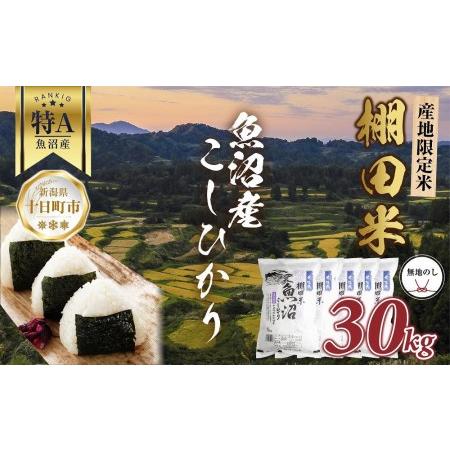 ふるさと納税  棚田米 魚沼産 コシヒカリ 30kg 新潟県 十日町市 松代地区 限定 棚田 こしひかり （お米屋秘伝！美味しいご飯の炊.. 新潟県十日町市