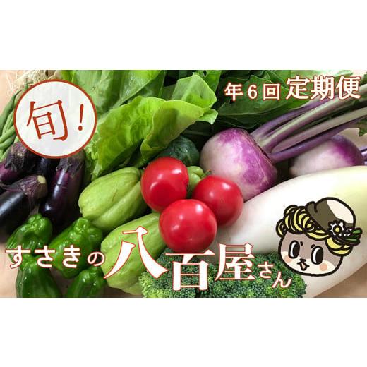 ふるさと納税 高知県 須崎市 数量限定 定期便 野菜 7〜8品目 6回 南国土佐の新鮮お野菜 詰め合わせ お楽しみ セット 限定100セット 詰め合わせ 季節 新鮮 産地…