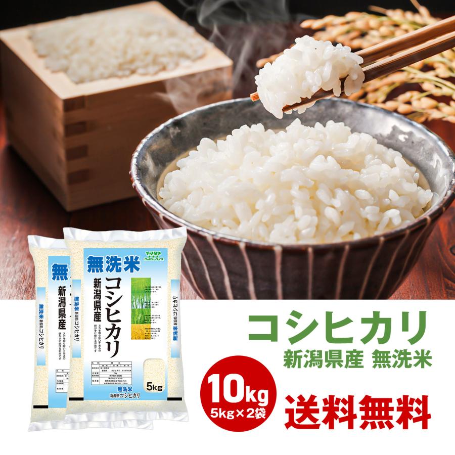 令和5年度 新米 お米 10kg 無洗米 コシヒカリ 5kg 2袋セット 新潟 国産 日本産 白米