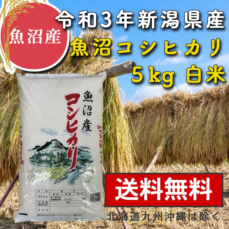  魚沼産コシヒカリ 白米 5kg 米 お米 新潟県 こしひかり 訳あり 2等米 産地直送