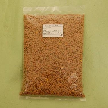 豆 レンズ豆 ブラウン 皮付き アメリカ産 1kg