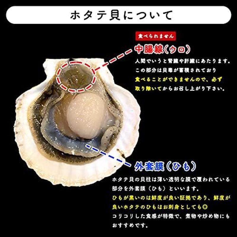 ほたて 3kg 活ほたて 青森県産新鮮プリっと甘い青森県むつ湾産 活ほたて 3ｋｇチルド便海鮮