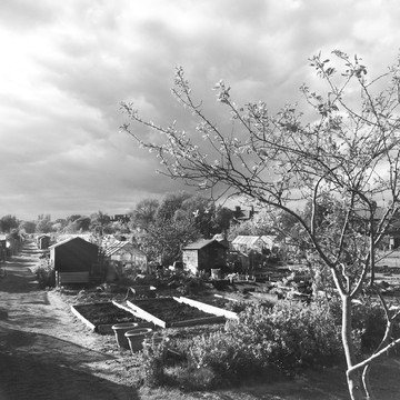 都市裡的溫室菜園│無酸相紙│英國印刷、製作│可自行裱褙│原作