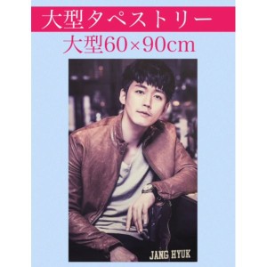 チャンヒョク JANG HYUK　チャン・ヒョク　大型 タペストリー 60×90 韓流 グッズ bb084-2