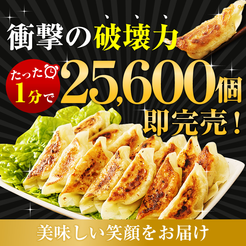 できたて発送 餃子 ぎょうざ すっぴん餃子200個セット 点心タレなしで美味しい ギフト 大阪 冷凍食品 ぎょうざ