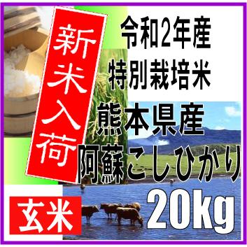 令和2年産　玄米　新米　熊本県産　特別栽培米　阿蘇こしひかり　20kg